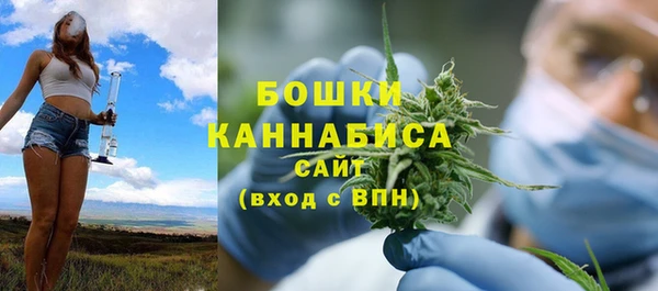 шишки Аркадак