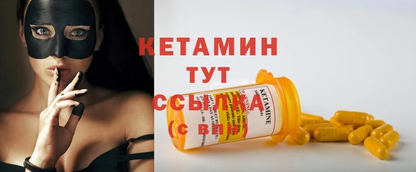 шишки Аркадак