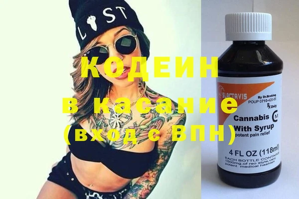 шишки Аркадак