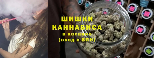спиды Арсеньев