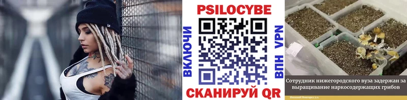 купить  цена  Мезень  Псилоцибиновые грибы мухоморы 